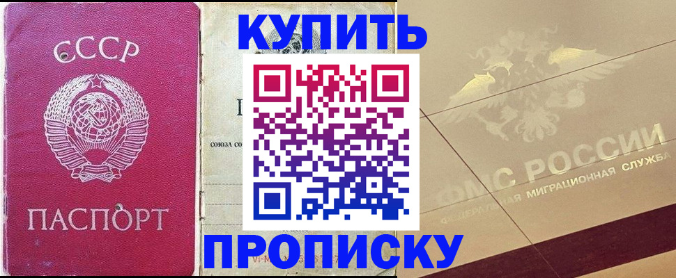 прописка для школы в Суворове